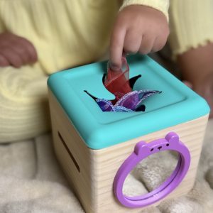 The Baby Supply Houten Tissue Box